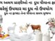 વિવધ પ્રાણીઓ ના દૂધ પીવાના ફાયદા | દૂધ નો ઘરેલું ઉપચાર મા ઉપયોગ દૂધ પીવાના ફાયદા -દૂધ ના ફાયદા - Dudh na fayda - milk benefits in Gujarati - ગાય ના દૂધ ના ફાયદા - રાત્રે દૂધ પીવાના ફાયદા