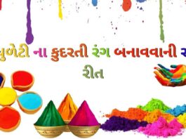 ધુળેટી ના કુદરતી રંગ બનાવવાની સરળ રીત - Holi Colour at home in Gujarati