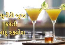 ઉનાળા અને શિયાળા મા બંને મા ઈમ્યુનીટી બુસ્ટ કરતો આદુ સ્ક્વોશ બનાવવાની રીત | Ginger Ale Squash આદુ સ્ક્વોશ બનાવવાની રીત - Immunity Booster Ginger Ale Squash recipe in Gujarati - ઈમ્યુનીટી બુસ્ટ કરતો આદુ શરબત - Ginger Ale Squash recipe