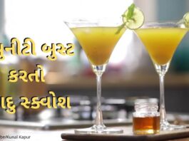 આદુ સ્ક્વોશ બનાવવાની રીત - Immunity Booster Ginger Ale Squash recipe in Gujarati - ઈમ્યુનીટી બુસ્ટ કરતો આદુ શરબત - Ginger Ale Squash recipe