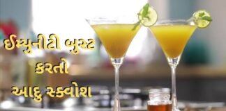 ઉનાળા અને શિયાળા મા બંને મા ઈમ્યુનીટી બુસ્ટ કરતો આદુ સ્ક્વોશ બનાવવાની રીત | Ginger Ale Squash આદુ સ્ક્વોશ બનાવવાની રીત - Immunity Booster Ginger Ale Squash recipe in Gujarati - ઈમ્યુનીટી બુસ્ટ કરતો આદુ શરબત - Ginger Ale Squash recipe