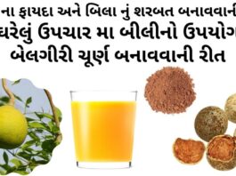 બીલા ના ફાયદા - બીલીનો ઉપયોગ - બિલા નું શરબત બનાવવાની રીત - બીલી નું શરબત બનાવવાની રીત - bili fal na fayda - aegle marmelos benefits in Gujarati