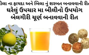 બીલી નું ફળ બીલા ના ફાયદા અને બિલા ના ઘરેલું ઉપચાર | Bili fal na fayda બીલા ના ફાયદા - બીલીનો ઉપયોગ - બિલા નું શરબત બનાવવાની રીત - બીલી નું શરબત બનાવવાની રીત - bili fal na fayda - aegle marmelos benefits in Gujarati