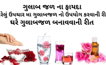 ગુલાબજળ ના ફાયદા - ગુલાબજળ નો ઉપયોગ ઘરેલું ઉપચારમા - ગુલાબજળ બનાવવાની રીત gulab jal na fayda - gulab jal banavani rit - rose water benefits in Gujarati