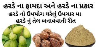 હરડે ના ફાયદા - હરડે ના પ્રકાર - હરડે નો ઉપયોગ ઘરેલું ઉપચાર મા - હરડેનું તેલ બનાવવાની રીત - harde na fayda - Harde benefits in Gujarati