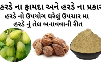 હરડે ના ફાયદા - હરડે ના પ્રકાર - હરડે નો ઉપયોગ ઘરેલું ઉપચાર મા - હરડેનું તેલ બનાવવાની રીત - harde na fayda - Harde benefits in Gujarati