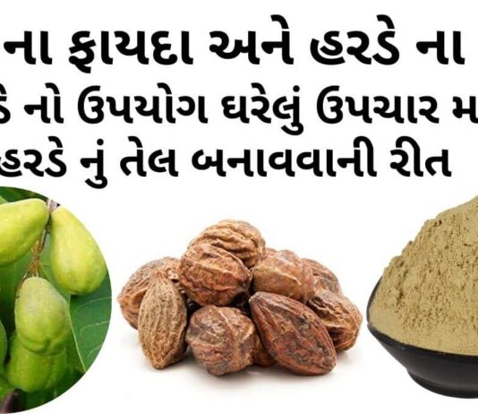 હરડે ના ફાયદા - હરડે ના પ્રકાર - હરડે નો ઉપયોગ ઘરેલું ઉપચાર મા - હરડેનું તેલ બનાવવાની રીત - harde na fayda - Harde benefits in Gujarati