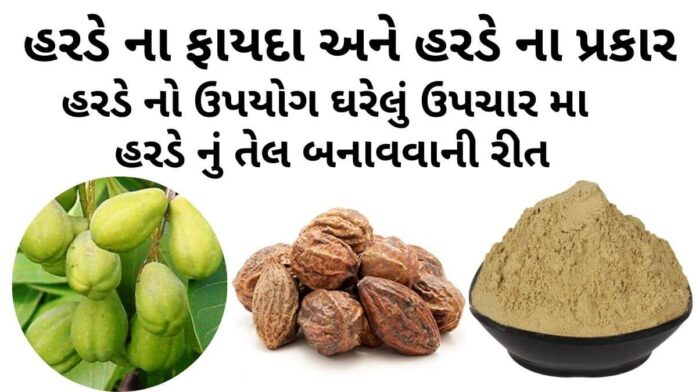 હરડે ના ફાયદા - હરડે ના પ્રકાર - હરડે નો ઉપયોગ ઘરેલું ઉપચાર મા - હરડેનું તેલ બનાવવાની રીત - harde na fayda - Harde benefits in Gujarati