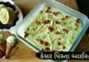 કેસર પિસ્તા આઈસ્ક્રીમ બનાવવાની રીત - kesar pista ice cream recipe in gujarati