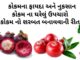 કોકમ ના ફાયદા અને નુકસાન | કોકમ ના ઘરેલું ઉપચારો | કોકમ નો શરબત કોકમ ના ફાયદા - કોકમ ના નુકસાન - કોકમ નો શરબત બનાવવાની રીત - કોકમ ના ઘરેલું ઉપચારો - kokam na fayda - kokam na phool na fayda - Garcinia indica benefits in Gujarati