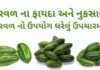 પરવળ ના ફાયદા - પરવળ ના નુકસાન - parwal na fayda - parwal benefits in Gujarati