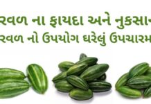 ઉનાળામા પરવળ ના ફાયદા | પરવળ નો ઉપયોગ ઘરેલું ઉપચારમા | Parwal na fayda પરવળ ના ફાયદા - પરવળ ના નુકસાન - parwal na fayda - parwal benefits in Gujarati