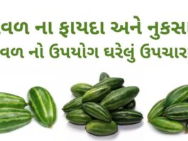 પરવળ ના ફાયદા - પરવળ ના નુકસાન - parwal na fayda - parwal benefits in Gujarati