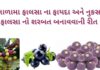 ફાલસા ના ફાયદા અને નુકસાન - ફાલસા નો શરબત બનાવવાની રીત - phalsa na fayda - falsa na fayda - phalsa fruit benefits in Gujarati