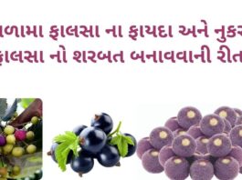 ફાલસા ના ફાયદા અને નુકસાન - ફાલસા નો શરબત બનાવવાની રીત - phalsa na fayda - falsa na fayda - phalsa fruit benefits in Gujarati