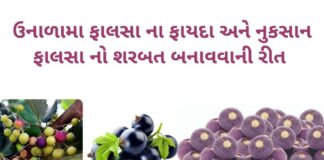 ફાલસા ના ફાયદા અને નુકસાન - ફાલસા નો શરબત બનાવવાની રીત - phalsa na fayda - falsa na fayda - phalsa fruit benefits in Gujarati