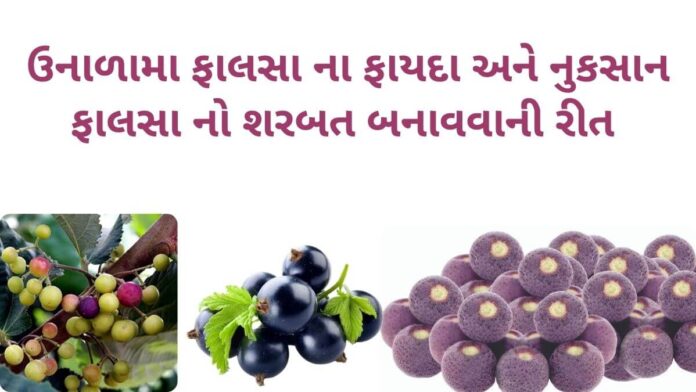 ફાલસા ના ફાયદા અને નુકસાન - ફાલસા નો શરબત બનાવવાની રીત - phalsa na fayda - falsa na fayda - phalsa fruit benefits in Gujarati