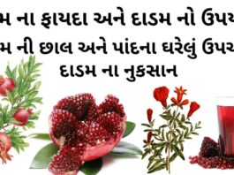દાડમ ના ફાયદા - દાડમ ની છાલ અને પાંદના ઘરેલું ઉપચારો - દાડમ ની માહિતી - dadam na faida Gujarati - pomegranate benefits in Gujarati - દાડમ નો ઉપયોગ - દાડમ ના નુકસાન