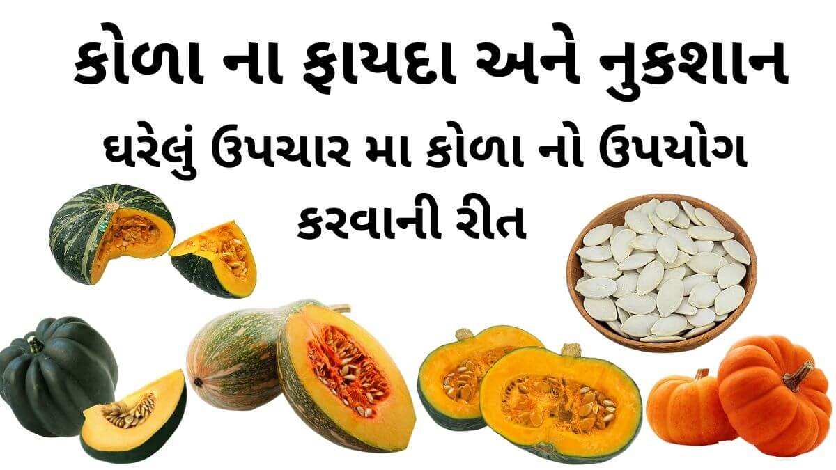 કોળા ના ફાયદા અને નુકશાન કોળા નો ઉપયોગ ઘરેલું ઉપચાર મા