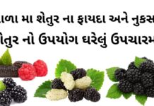 શેતુર ના ફાયદા અને નુકસાન - શેતુર નો ઉપયોગ ઘરેલું ઉપચારમા - shetur na fayda - mulberry benefits in Gujarati