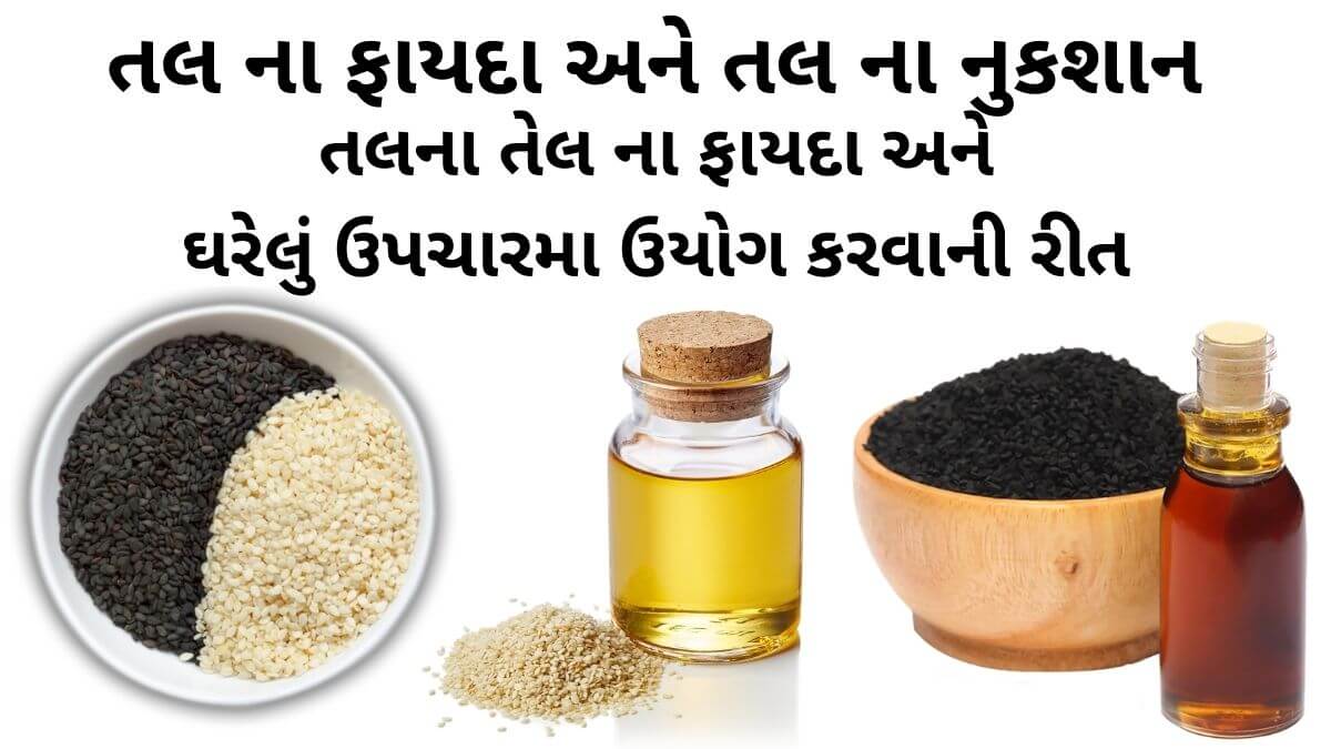 તલ ના ફાયદા - તલ ના તેલ ના ફાયદા -, તલ ના નુકશાન - sesame seeds benefits in Gujarati - Tal na fayda