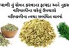 વરીયાળી ના ફાયદા - વરીયાળી ના નુકસાન - વરિયાળીનું શરબત બનાવવાની રીત - વરિયાળીના ઘરેલું ઉપચારો - variyali na fayda - Fennel seeds benefits in Gujarati