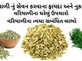 વરીયાળી ના ફાયદા - વરીયાળી ના નુકસાન - વરિયાળીનું શરબત બનાવવાની રીત - વરિયાળીના ઘરેલું ઉપચારો - variyali na fayda - Fennel seeds benefits in Gujarati
