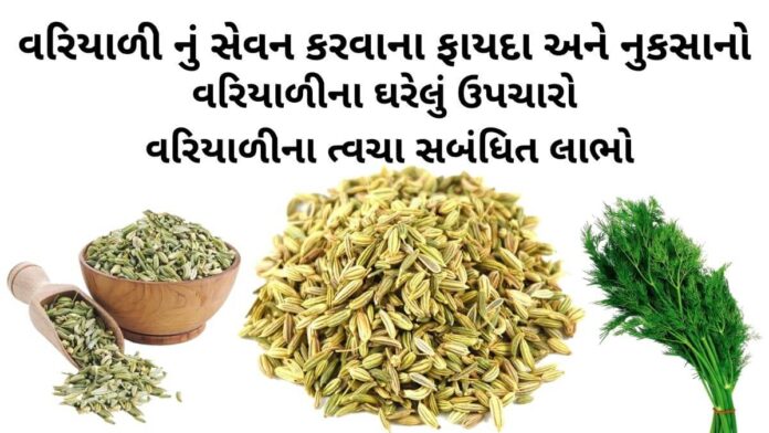 વરીયાળી ના ફાયદા - વરીયાળી ના નુકસાન - વરિયાળીનું શરબત બનાવવાની રીત - વરિયાળીના ઘરેલું ઉપચારો - variyali na fayda - Fennel seeds benefits in Gujarati