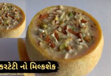 શક્કરટેટી નો મિલ્ક શેક બનાવવાની રીત - Musk Melon Milk shake recipe in Gujarati