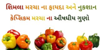 કેપ્સિકમ ના ફાયદા - કેપ્સિકમ મરચા ના ફાયદા - shimla marcha na fayda in Gujarati - bell pepper benefits in Gujarati
