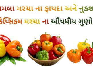 કેપ્સિકમ ના ફાયદા - કેપ્સિકમ મરચા ના ફાયદા - shimla marcha na fayda in Gujarati - bell pepper benefits in Gujarati