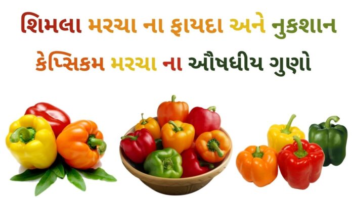 કેપ્સિકમ ના ફાયદા - કેપ્સિકમ મરચા ના ફાયદા - shimla marcha na fayda in Gujarati - bell pepper benefits in Gujarati
