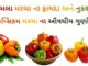 કેપ્સિકમ ના ફાયદા - કેપ્સિકમ મરચા ના ફાયદા - shimla marcha na fayda in Gujarati - bell pepper benefits in Gujarati