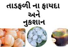 તાડફળી ના ફાયદા - ગલેલી - તફડા - તાડ ગોલા - Taad fadi na fayda in Gujarati