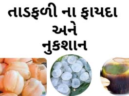 તાડફળી ના ફાયદા - ગલેલી - તફડા - તાડ ગોલા - Taad fadi na fayda in Gujarati
