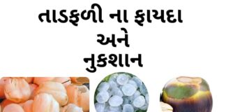 તાડફળી ના ફાયદા - ગલેલી - તફડા - તાડ ગોલા - Taad fadi na fayda in Gujarati