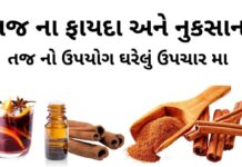 તજ ના ફાયદા - તજ નો ઉપયોગ ઘરેલું ઉપચાર મા - Taj na fayda - cinnamon benefits in Gujarati