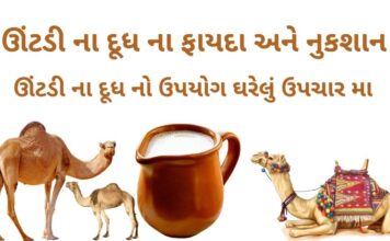 ઊંટડીના દૂધ ના ફાયદા અને નુકશાન | ઊંટ ના દૂધ નો ઉપયોગ ઘરેલું ઉપચાર મા ઊંટડીના દૂધ ના ફાયદા અને નુકશાન - ઊંટ ના દૂધ નો ઉપયોગ ઘરેલું ઉપચાર મા -ઊંટડી નું દૂધ - camel milk benefits in Gujarati