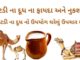 ઊંટડીના દૂધ ના ફાયદા અને નુકશાન | ઊંટ ના દૂધ નો ઉપયોગ ઘરેલું ઉપચાર મા ઊંટડીના દૂધ ના ફાયદા અને નુકશાન - ઊંટ ના દૂધ નો ઉપયોગ ઘરેલું ઉપચાર મા -ઊંટડી નું દૂધ - camel milk benefits in Gujarati