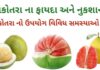 ચકોતરું ના ફાયદા અને નુકશાન - chakotra na fayda - pomelo benefits in Gujarati