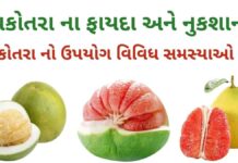 ચકોતરું ના ફાયદા અને નુકશાન | ચકોતરા નો ઉપયોગ વિવિધ સમસ્યાઓ મા ચકોતરું ના ફાયદા અને નુકશાન - chakotra na fayda - pomelo benefits in Gujarati