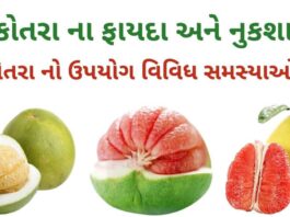 ચકોતરું ના ફાયદા અને નુકશાન - chakotra na fayda - pomelo benefits in Gujarati