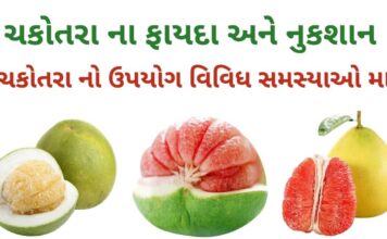 ચકોતરું ના ફાયદા અને નુકશાન | ચકોતરા નો ઉપયોગ વિવિધ સમસ્યાઓ મા ચકોતરું ના ફાયદા અને નુકશાન - chakotra na fayda - pomelo benefits in Gujarati