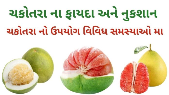 chakotra na fayda ચકોતરું ના ફાયદા અને નુકશાન - chakotra na fayda - pomelo benefits in Gujarati