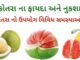 ચકોતરું ના ફાયદા અને નુકશાન | ચકોતરા નો ઉપયોગ વિવિધ સમસ્યાઓ મા ચકોતરું ના ફાયદા અને નુકશાન - chakotra na fayda - pomelo benefits in Gujarati