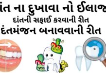 dant na dukhava no ilaj - દાંત વિશે માહિતી - દાંત ના દુખાવા નો ઈલાજ - દાંતની સફાઈ કરવાની રીત - વિવિધ પ્રકાર ના દાતણ - દંતમંજન બનાવવાની રીત