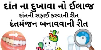 dant na dukhava no ilaj - દાંત વિશે માહિતી - દાંત ના દુખાવા નો ઈલાજ - દાંતની સફાઈ કરવાની રીત - વિવિધ પ્રકાર ના દાતણ - દંતમંજન બનાવવાની રીત
