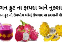 ડ્રેગન ફ્રુટ ના ફાયદા - ડ્રેગન ફ્રુટ ની માહિતી - ડ્રગન ફ્રુટ ના નુકશાન - ફ્રુટ નો ઉપયોગ ઘરેલું ઉપચારમા - dragon fruit na fayda in gujarati