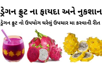 ડ્રેગન ફ્રુટ ના ફાયદા અને ઘરેલું ઉપચાર મા ઉપયોગ કરવાની રીત | dragon fruit na fayda ડ્રેગન ફ્રુટ ના ફાયદા - ડ્રેગન ફ્રુટ ની માહિતી - ડ્રગન ફ્રુટ ના નુકશાન - ફ્રુટ નો ઉપયોગ ઘરેલું ઉપચારમા - dragon fruit na fayda in gujarati