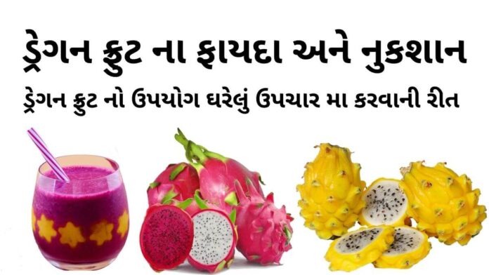 ડ્રેગન ફ્રુટ ના ફાયદા - ડ્રેગન ફ્રુટ ની માહિતી - ડ્રગન ફ્રુટ ના નુકશાન - ફ્રુટ નો ઉપયોગ ઘરેલું ઉપચારમા - dragon fruit na fayda in gujarati